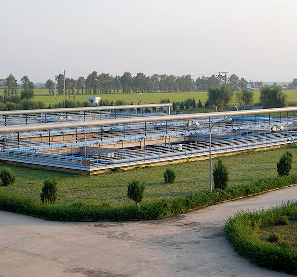 welcometo接待光临888集团(中国)有限公司