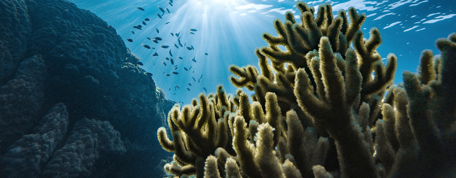 888集团中水回用、陶瓷膜、石墨烯膜、黑金膜公众号，，，，，，接待您扫码关注！