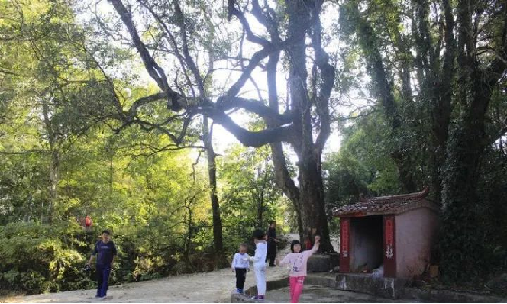 welcometo接待光临888集团(中国)有限公司