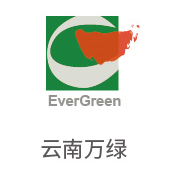 888集团相助同伴：云南万绿