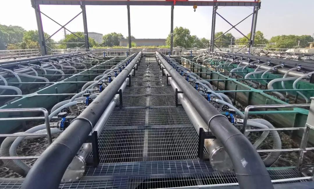 welcometo接待光临888集团(中国)有限公司