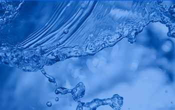 公司获评为“2012年度中国情形；；；すひ抵鞲善笠怠