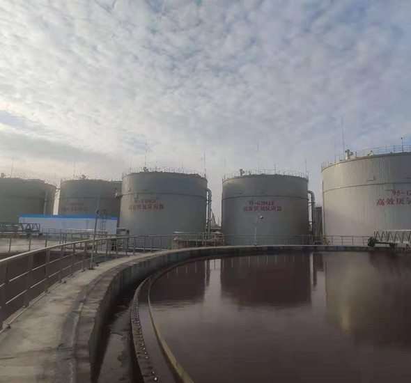 welcometo接待光临888集团(中国)有限公司